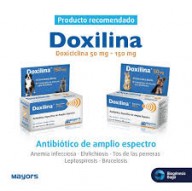 Doxilina