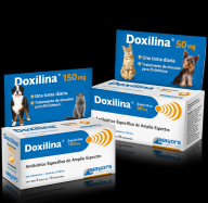 Doxilina